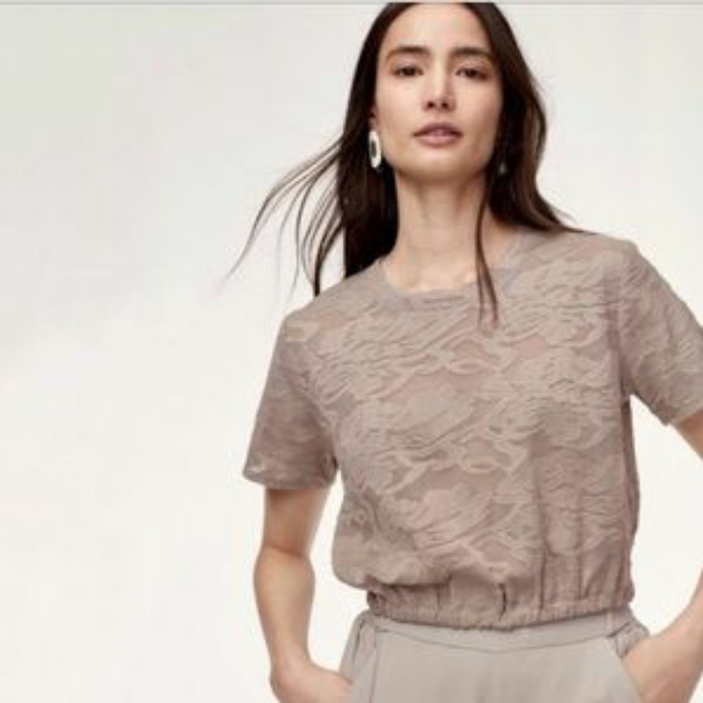 WILDRED Piaf Crop Top - Taupe Lace